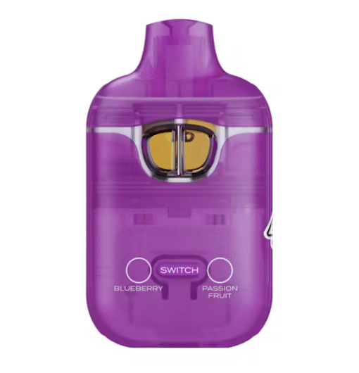 BUY 1G BOUTIQ SWITCH – Blueberry x Passion Fruit